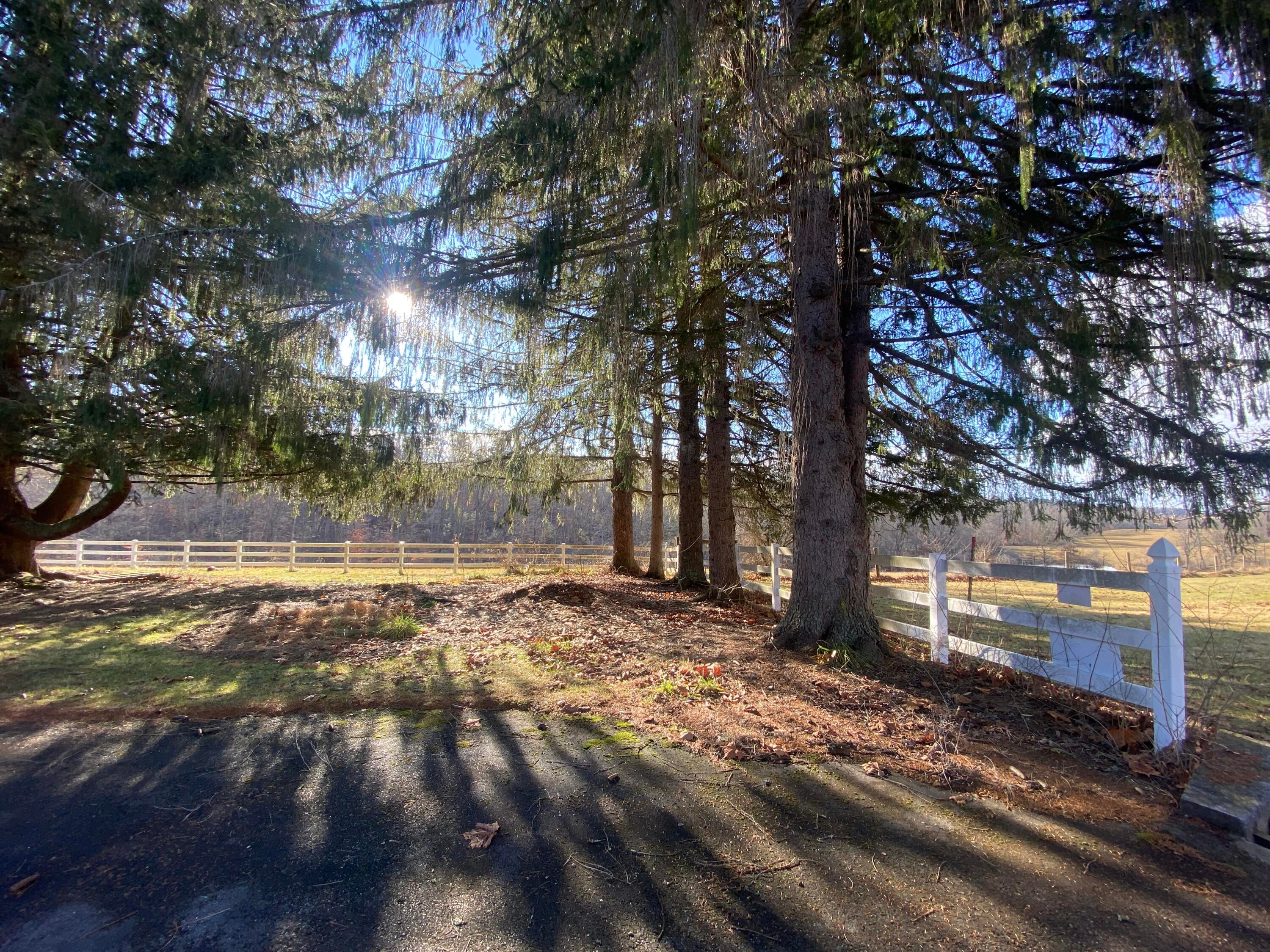 594 Private Road Lewisburg, WV 24901 - Photo 87 of 104 Gallery Image 87