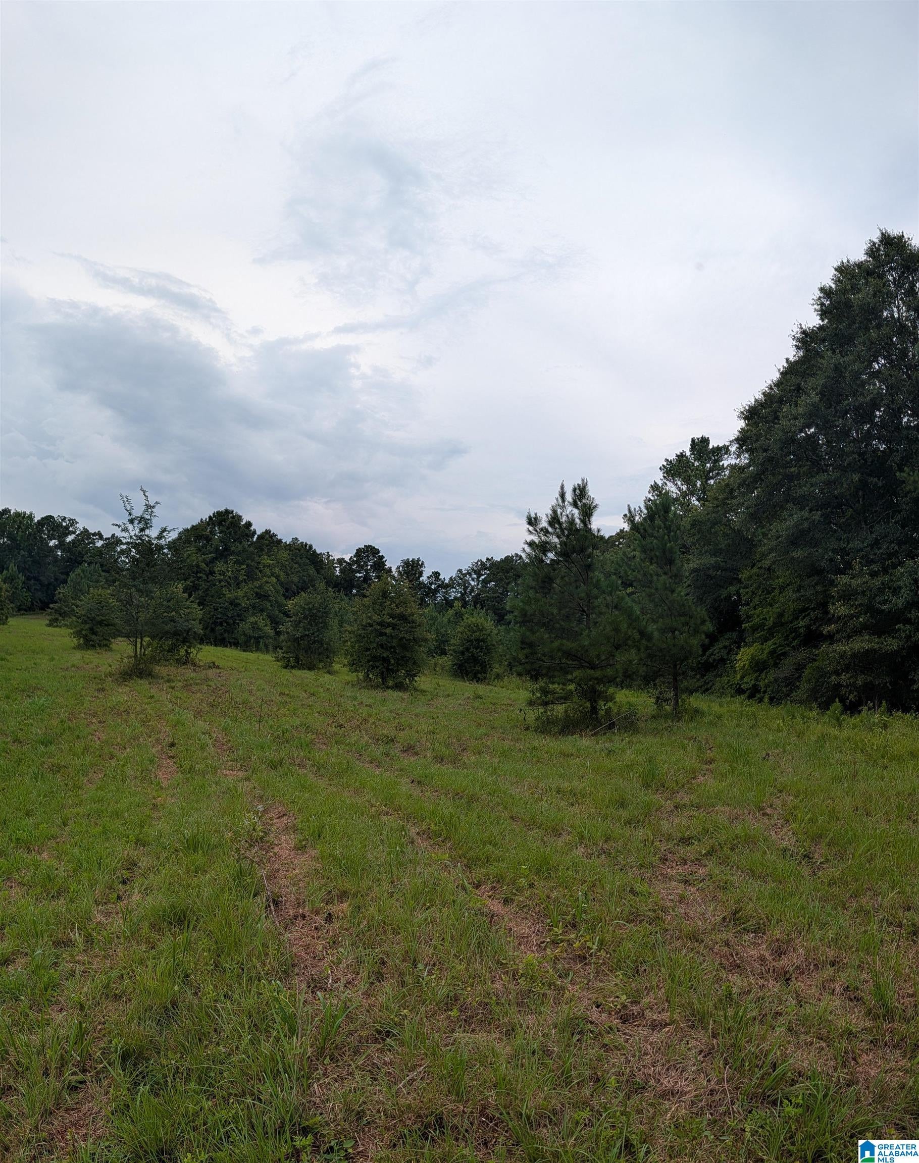 0 Barclay Road Alpine, AL 35014 - Photo 19 of 26 Gallery Image 19