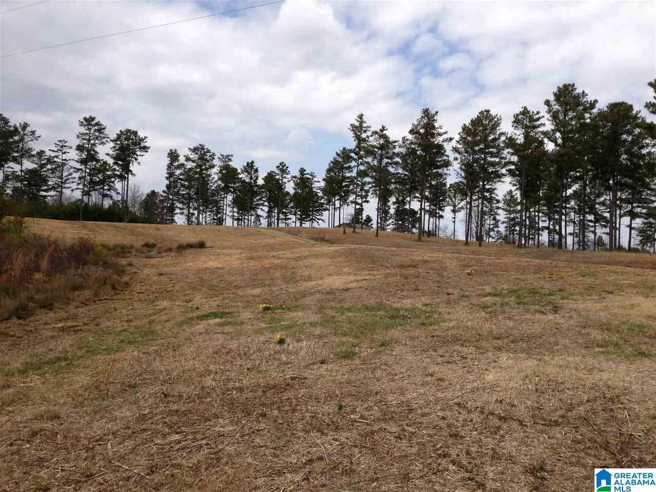 449 Mayo Road, Unit 1 Altoona, AL 35952 - Photo 2 of 6