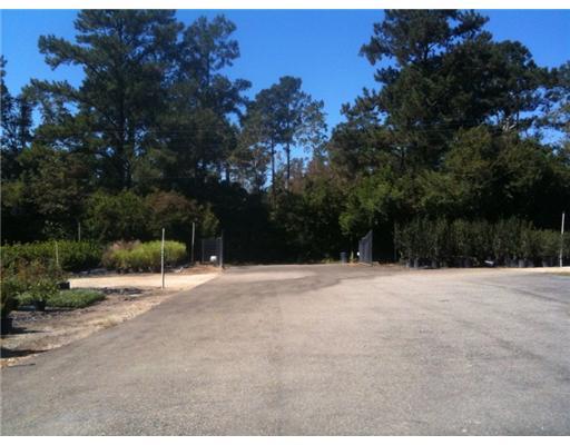 83380 Holliday Road Folsom, LA 70437 - Photo 3 of 9 Gallery Image 3