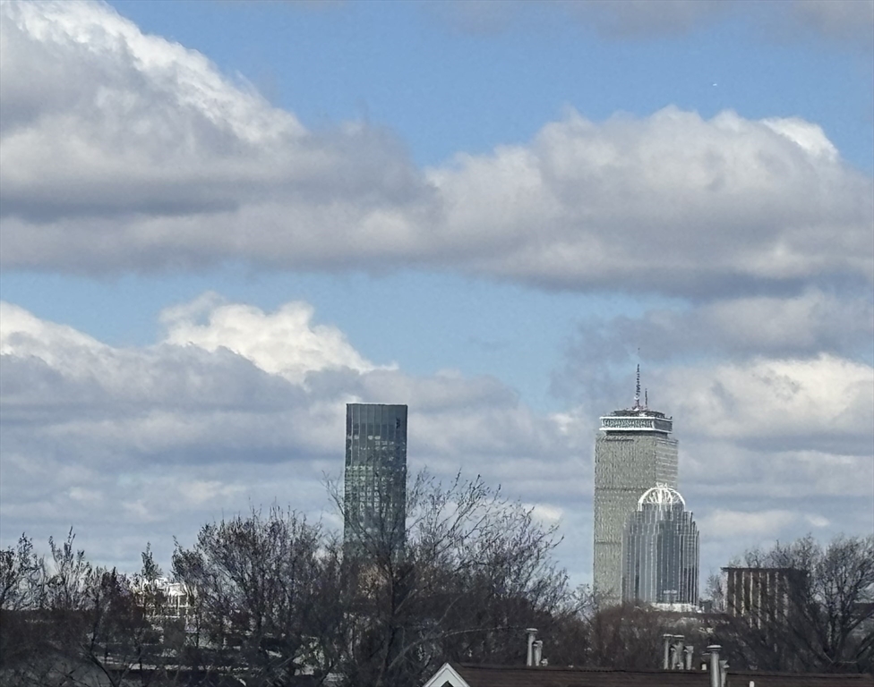 10 Spring Garden Street, Unit 3 Boston, MA 02125 - Photo 8 of 13