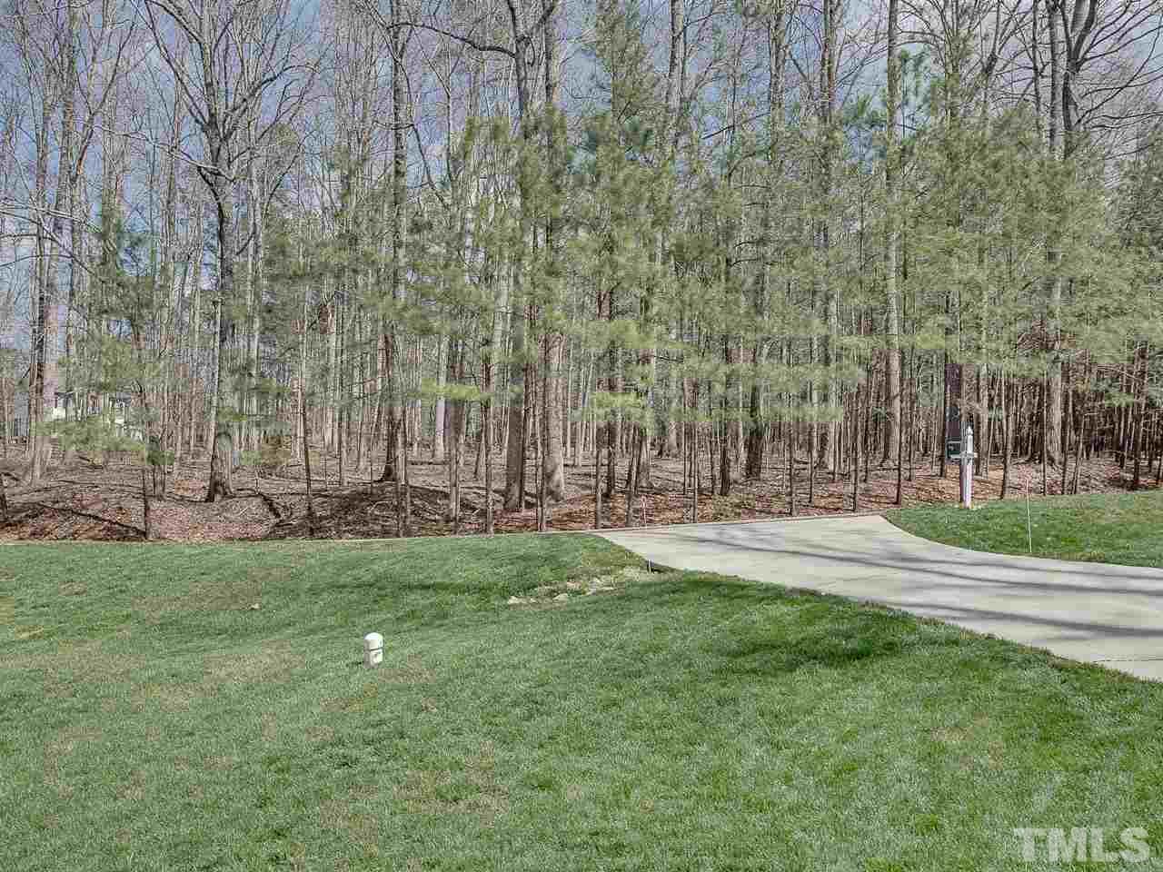 832 Kings Cross Way Raleigh, NC 27615 - Photo 23 of 25 a view of a park with large trees
