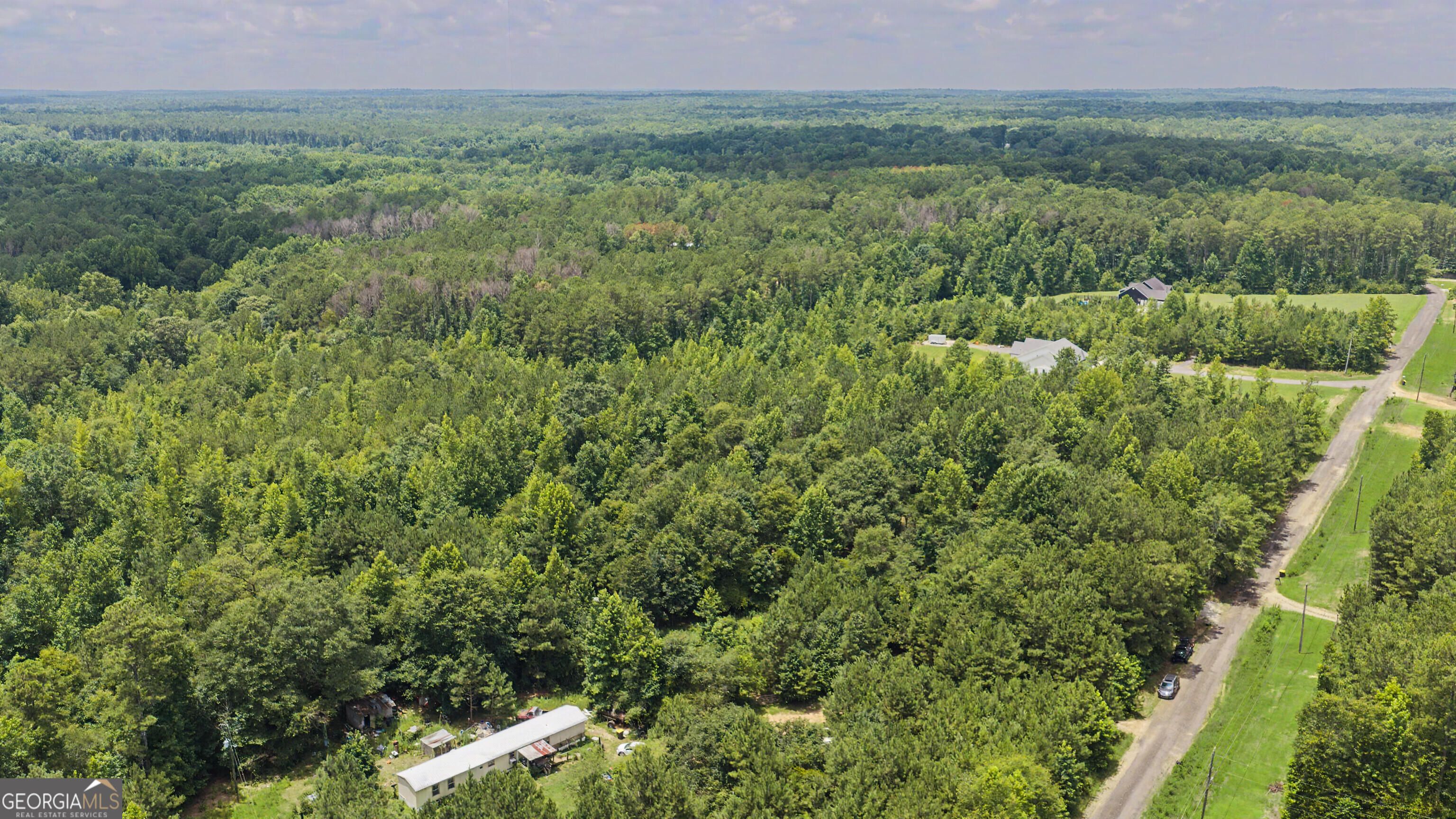 661 Hugh O Neal Road Greenville, GA 30222 - Photo 6 of 11