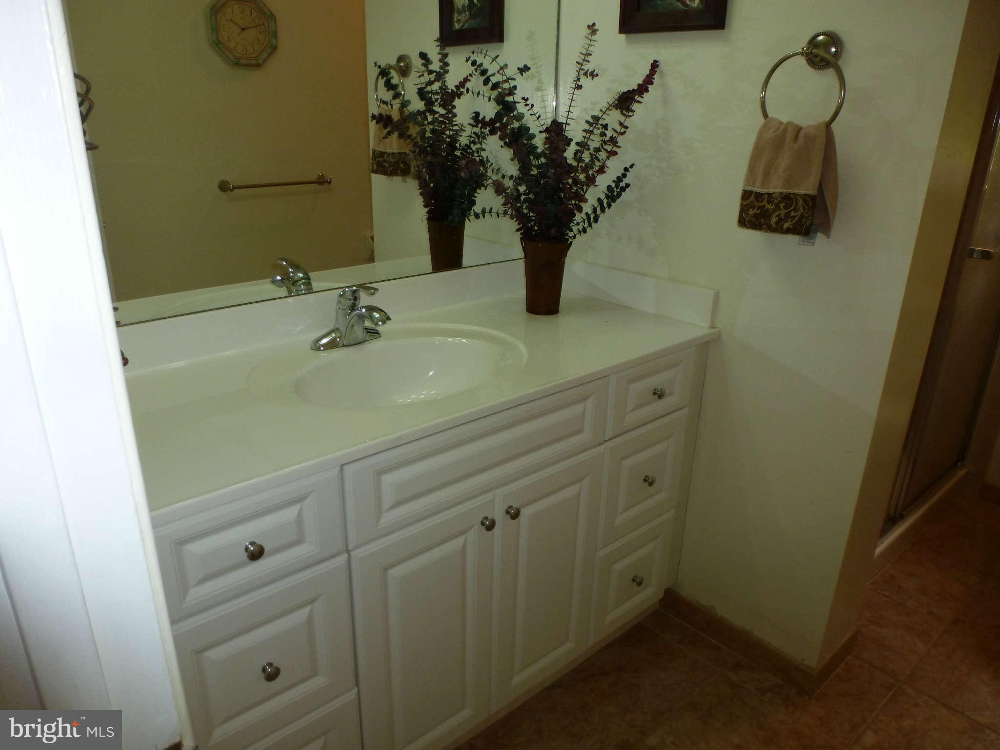 6 Locksley Court Silver Spring, MD 20904 - Photo 26 of 30 Owners Bath
