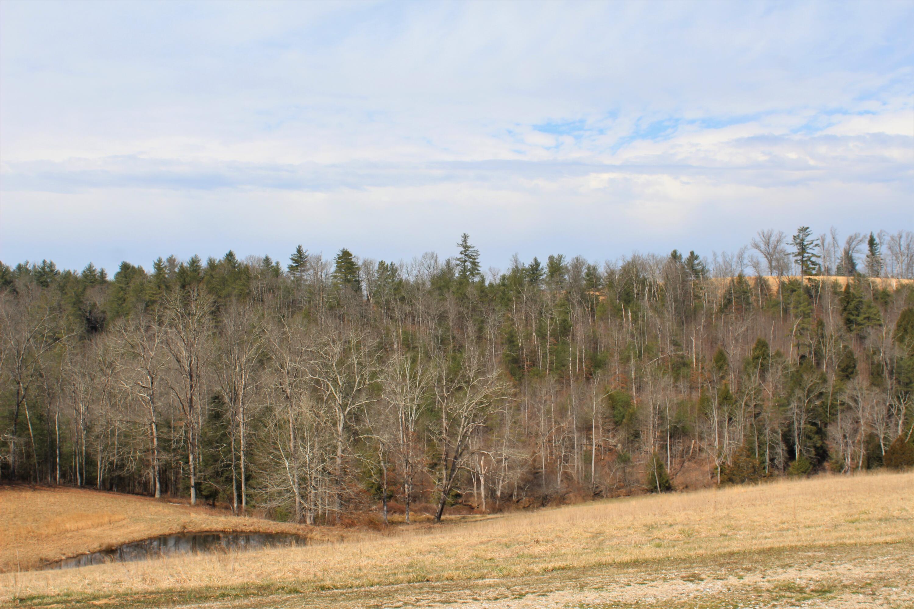 1245 North Shady Lane Road Campton, KY 41301 - Photo 30 of 96 031 view from the backyard looking over
