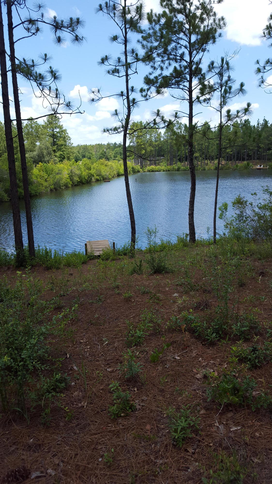3941 Indian Mound Road Crestview, FL 32539 - Photo 1 of 5 a view of a lake