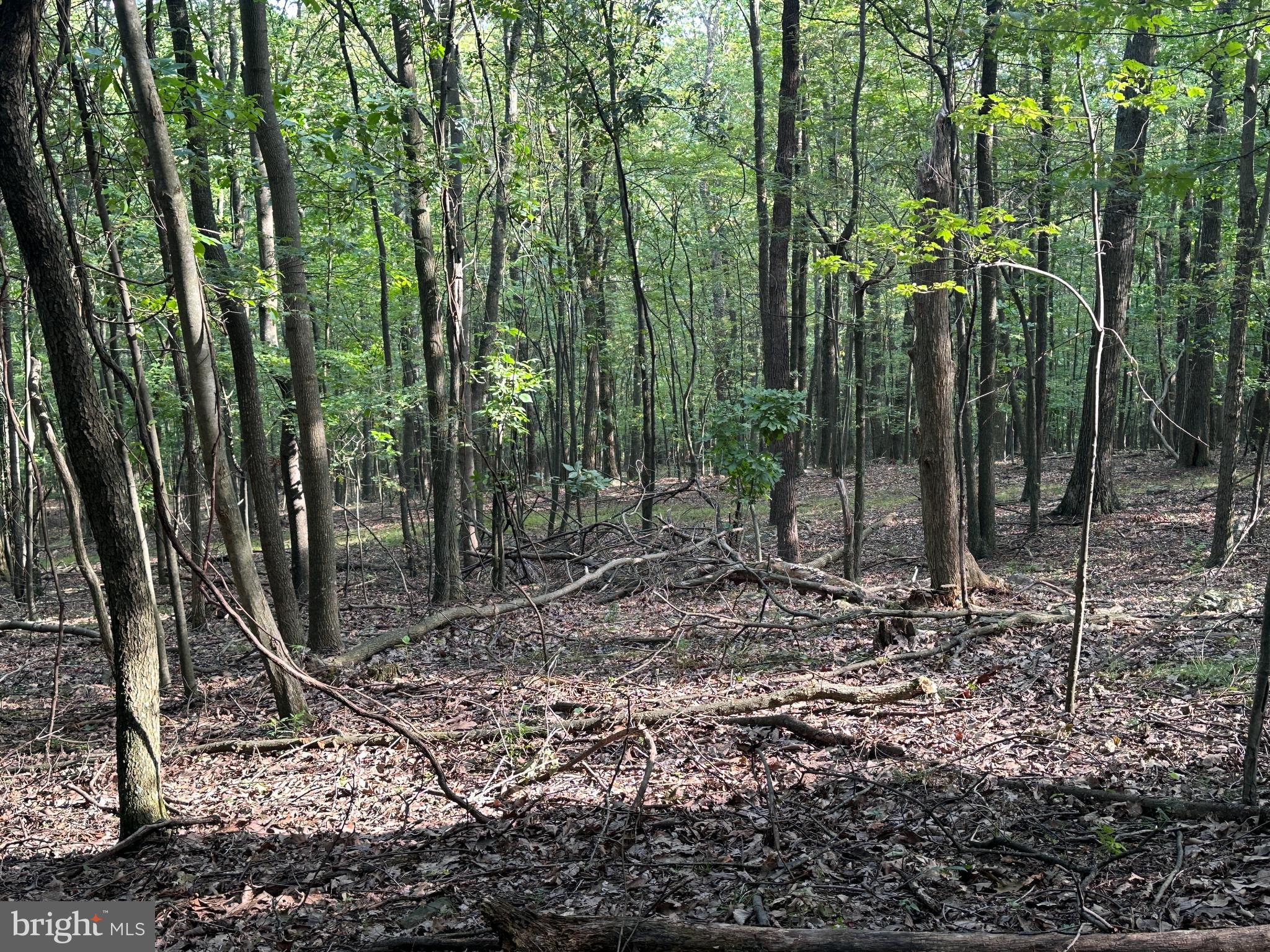 0 Hanging Rock Road Clear Spring, MD 21722 - Photo 24 of 30 Gallery Image 24