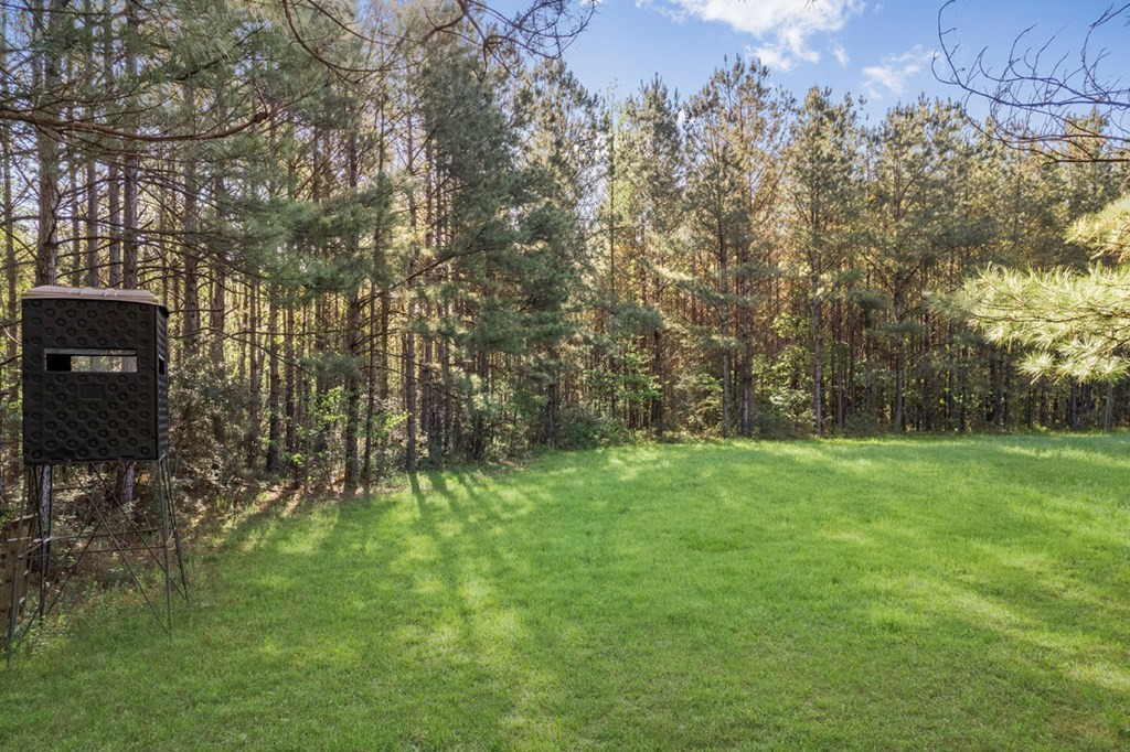 0 Red Bluff Church Road Greensburg, LA 70441 - Photo 2 of 13 Photo 2