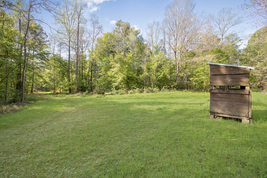 0 Red Bluff Church Road Greensburg, LA 70441 - Photo 6 of 13 Photo 6