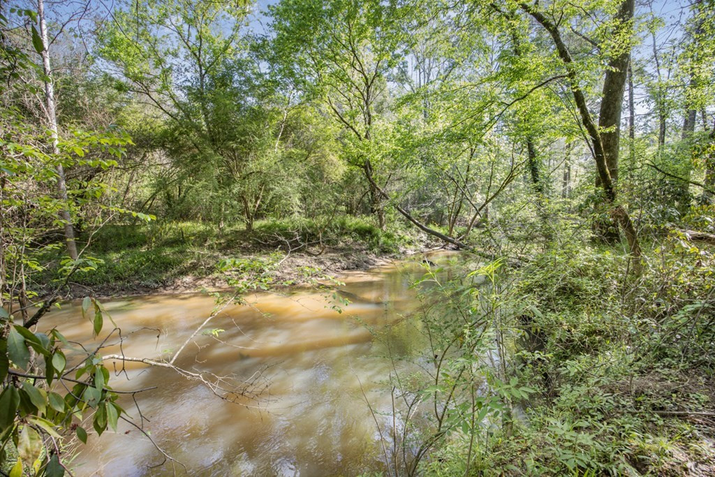 0 Red Bluff Church Road Greensburg, LA 70441 - Photo 7 of 13 Photo 7