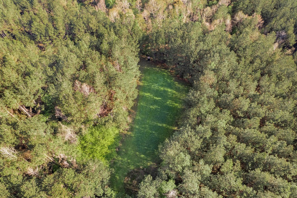 0 Red Bluff Church Road Greensburg, LA 70441 - Photo 10 of 13 Photo 10