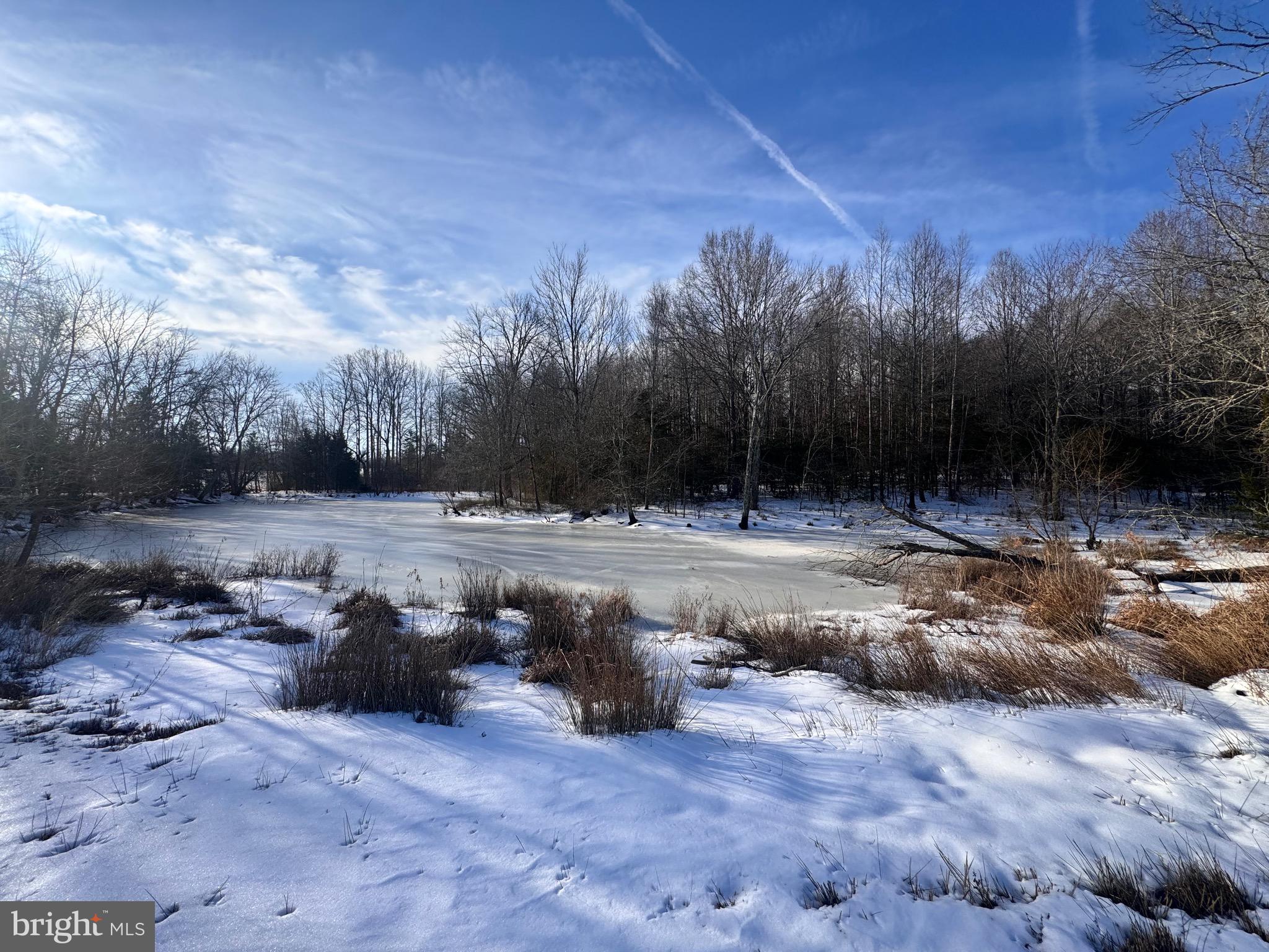 22 Aeolian Way Bumpass, VA 23024 - Photo 9 of 18