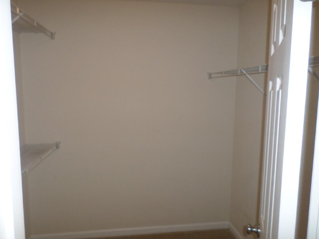 264 Island Green Road Goose Creek, SC 29445 - Photo 9 of 18 264 Island Green master closet