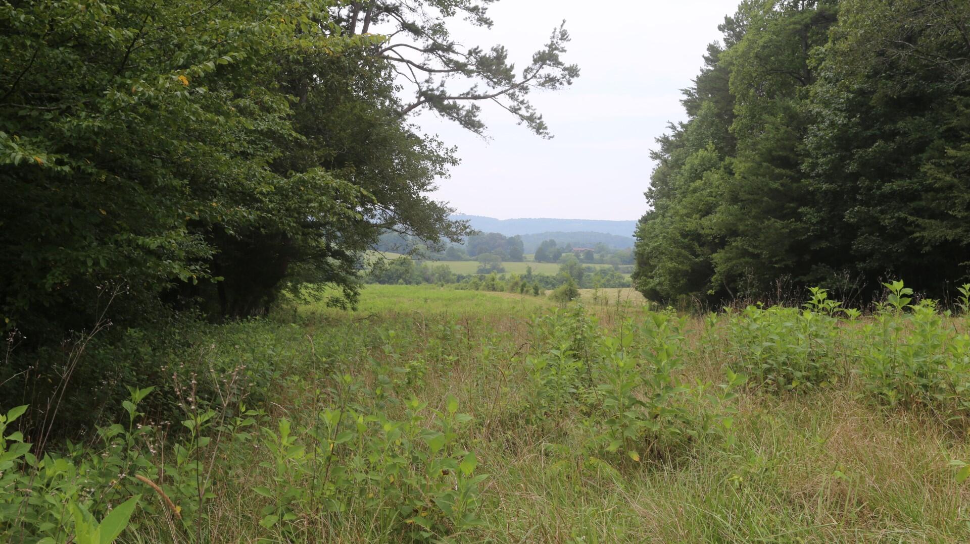 42.98-acre 42.98-acre Mars Hill Rd Spring Spring City, TN 37381 - Photo 1 of 23 IMG_2876