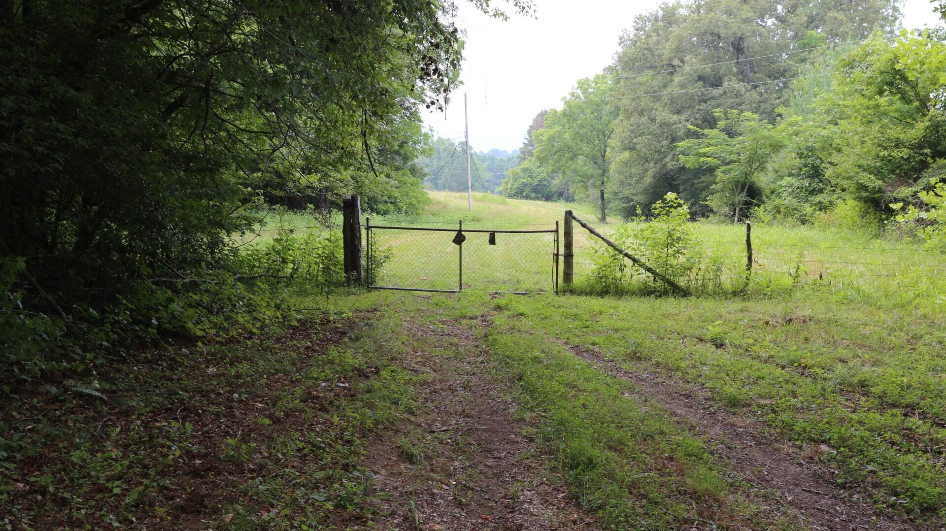42.98-acre 42.98-acre Mars Hill Rd Spring Spring City, TN 37381 - Photo 2 of 23 IMG_2843