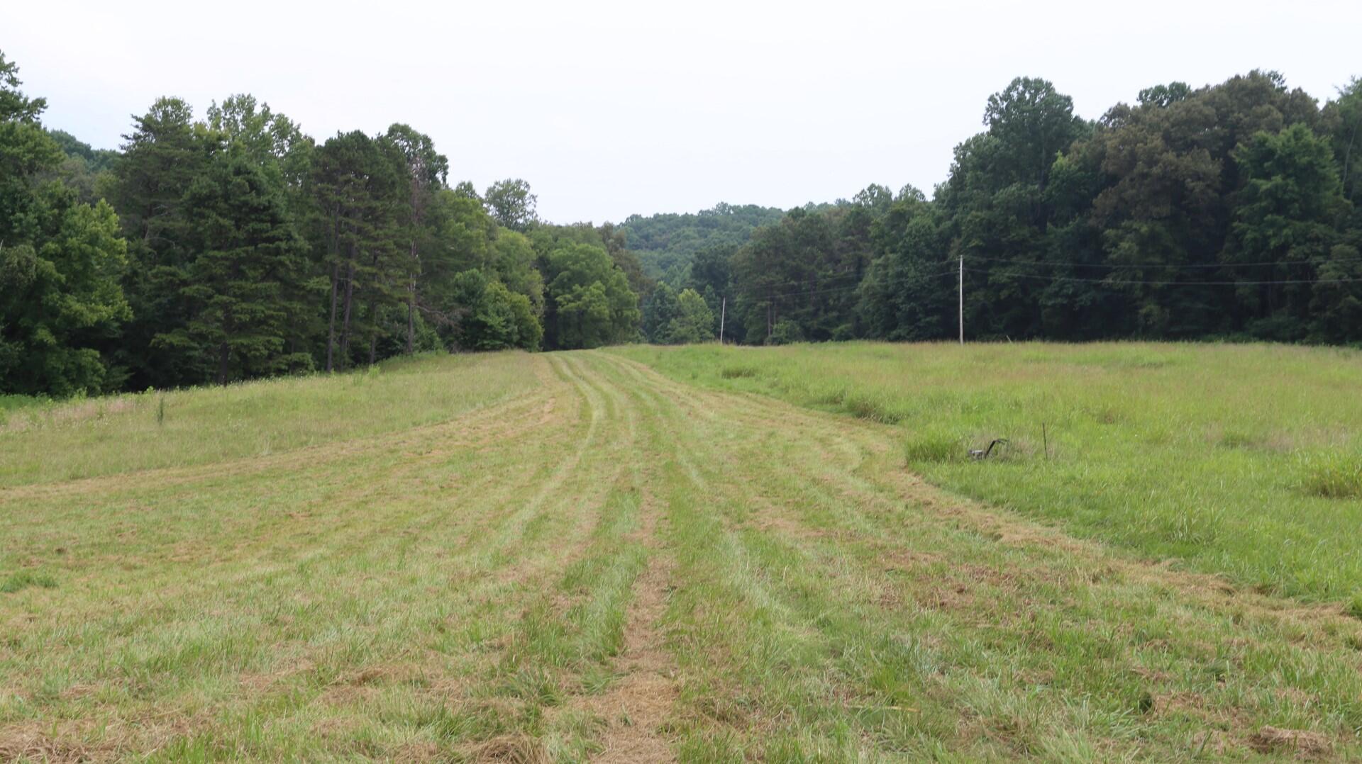42.98-acre 42.98-acre Mars Hill Rd Spring Spring City, TN 37381 - Photo 11 of 23 IMG_2851