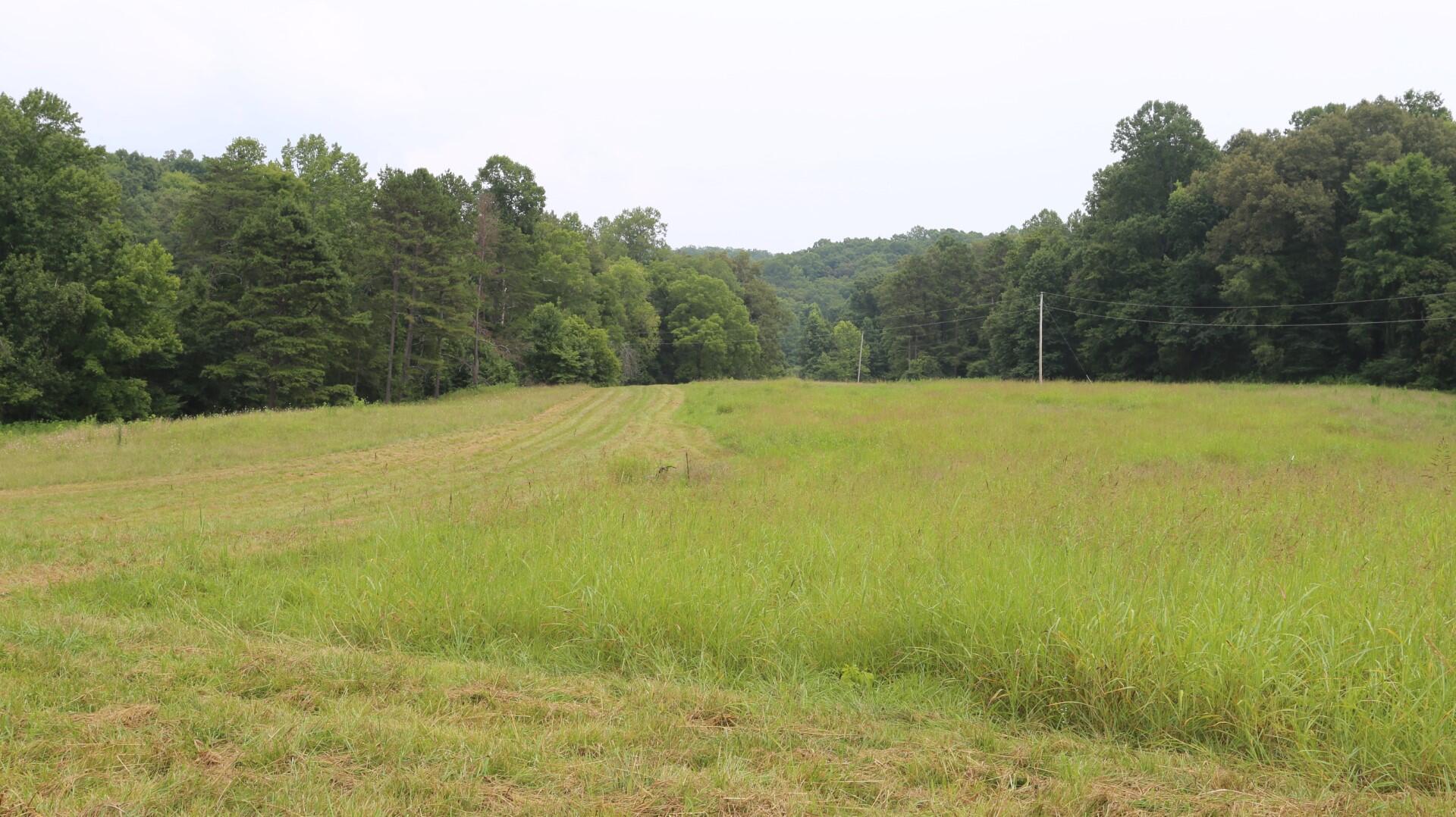 42.98-acre 42.98-acre Mars Hill Rd Spring Spring City, TN 37381 - Photo 12 of 23 IMG_2857
