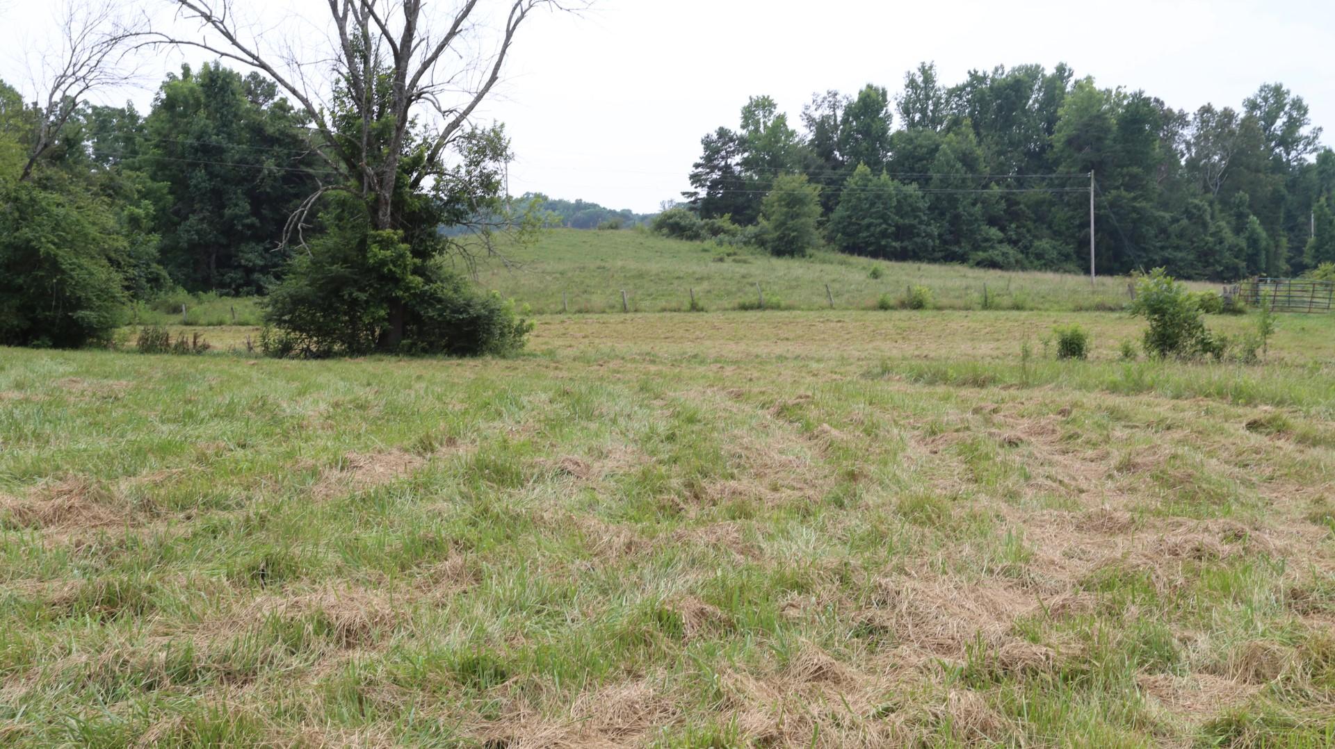 42.98-acre 42.98-acre Mars Hill Rd Spring Spring City, TN 37381 - Photo 14 of 23 IMG_2867