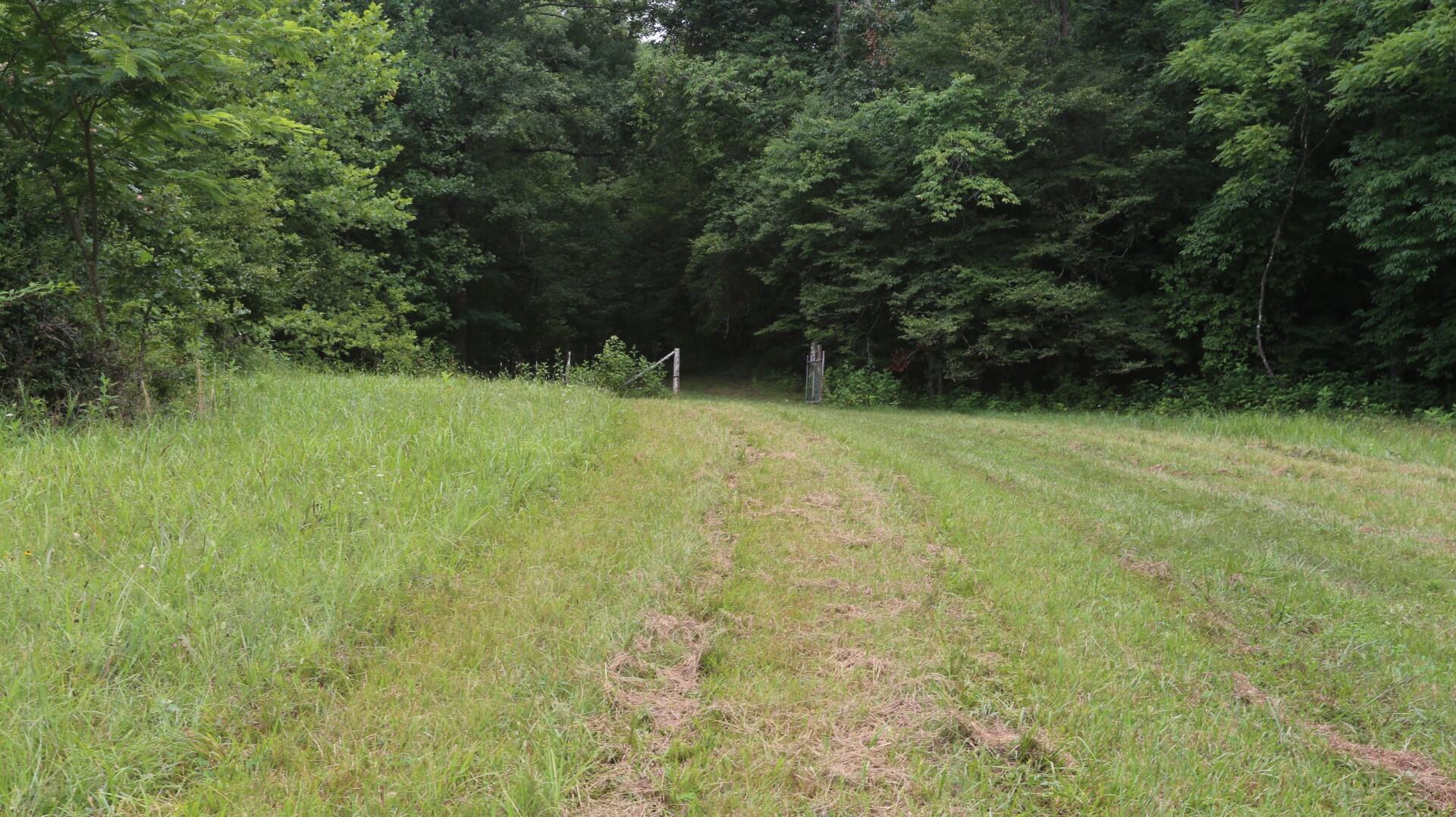 42.98-acre 42.98-acre Mars Hill Rd Spring Spring City, TN 37381 - Photo 19 of 23 IMG_2882