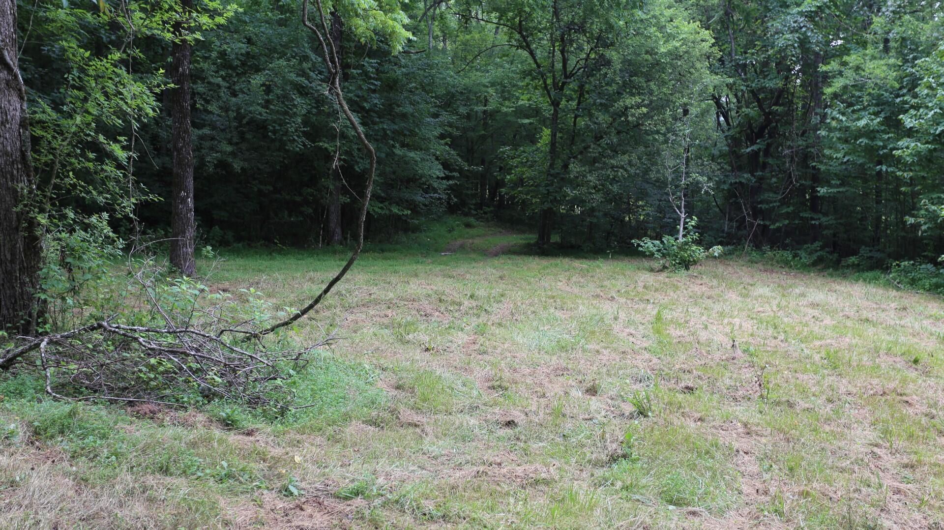 42.98-acre 42.98-acre Mars Hill Rd Spring Spring City, TN 37381 - Photo 20 of 23 IMG_2884