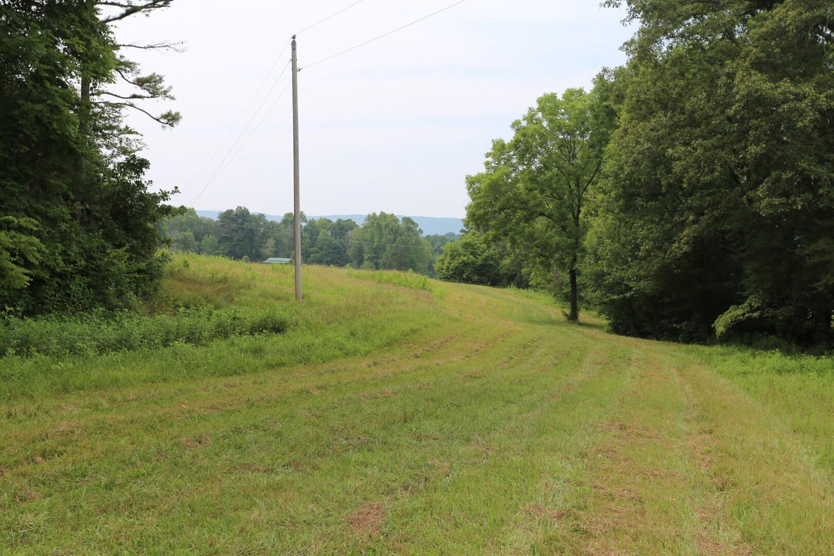 42.98-acre 42.98-acre Mars Hill Rd Spring Spring City, TN 37381 - Photo 8 of 23 IMG_2845