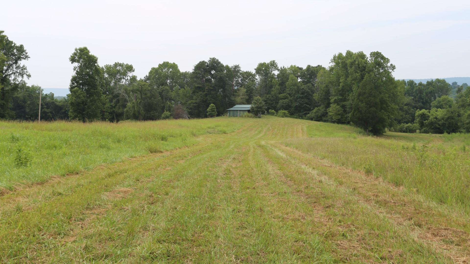 42.98-acre 42.98-acre Mars Hill Rd Spring Spring City, TN 37381 - Photo 10 of 23 IMG_2850