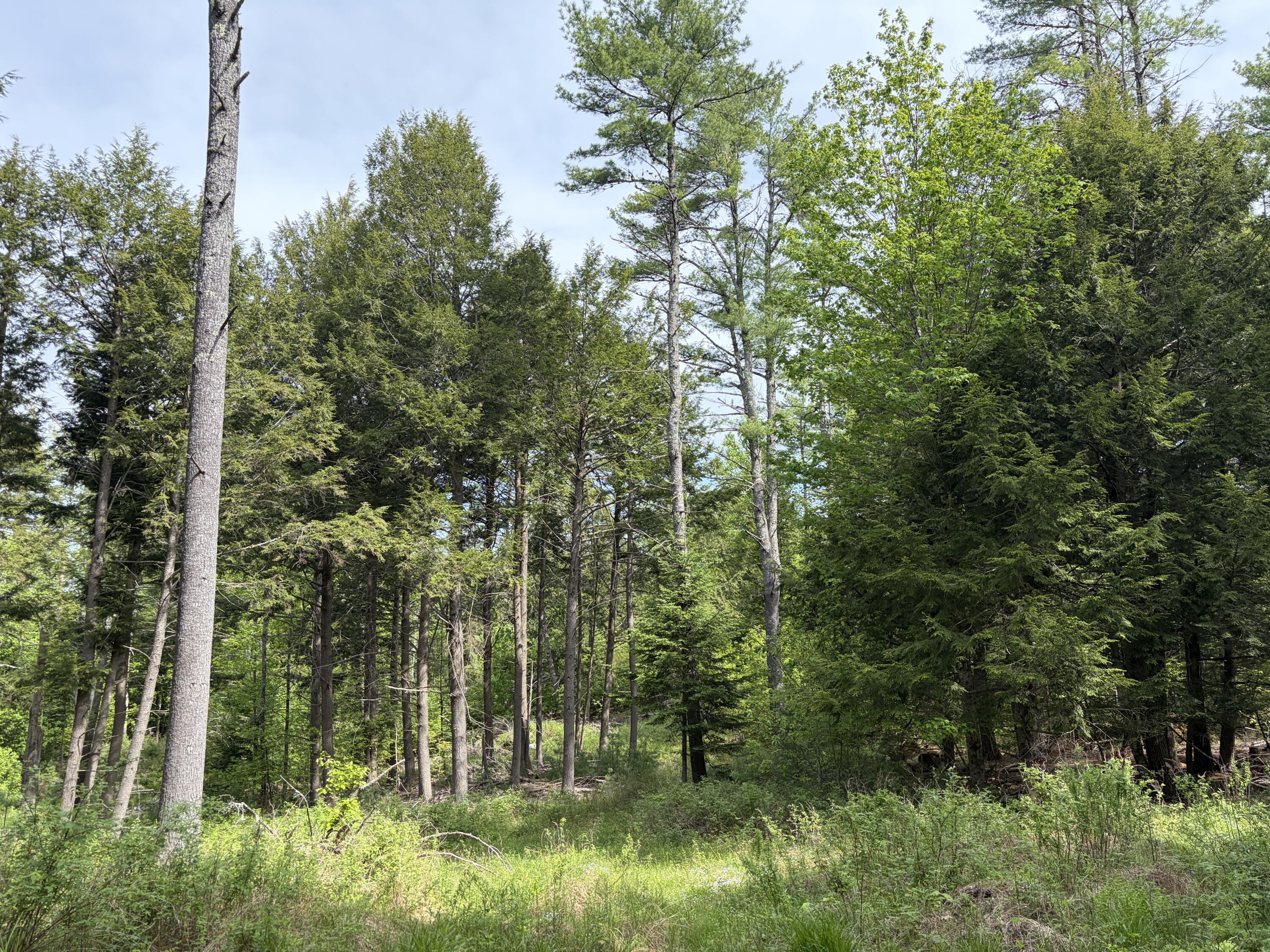 Lot 1 Waldoboro Road Washington, ME 04574 - Photo 14 of 39