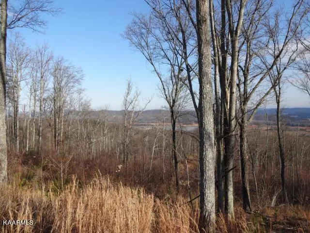 $29,900 | Lot #39 Bayside Boulevard, Bean Station, TN 37708