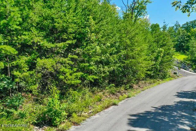 $29,900 | Lot #39 Bayside Boulevard, Bean Station, TN 37708