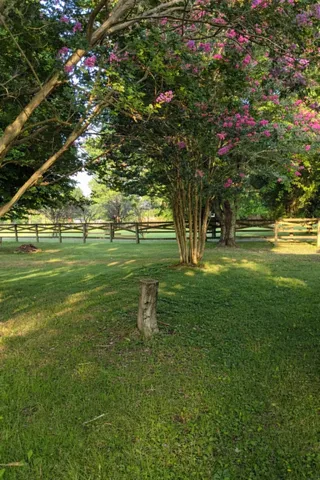 $300,000 | 1175 Summertown Highway, Hohenwald, TN 38462