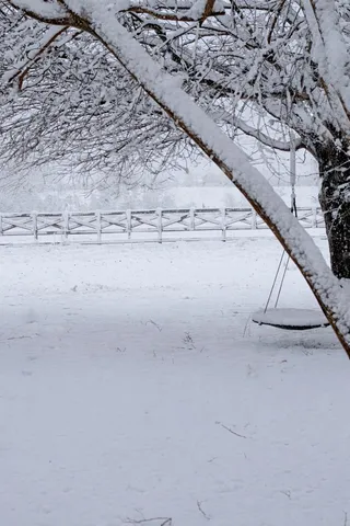 $300,000 | 1175 Summertown Highway, Hohenwald, TN 38462