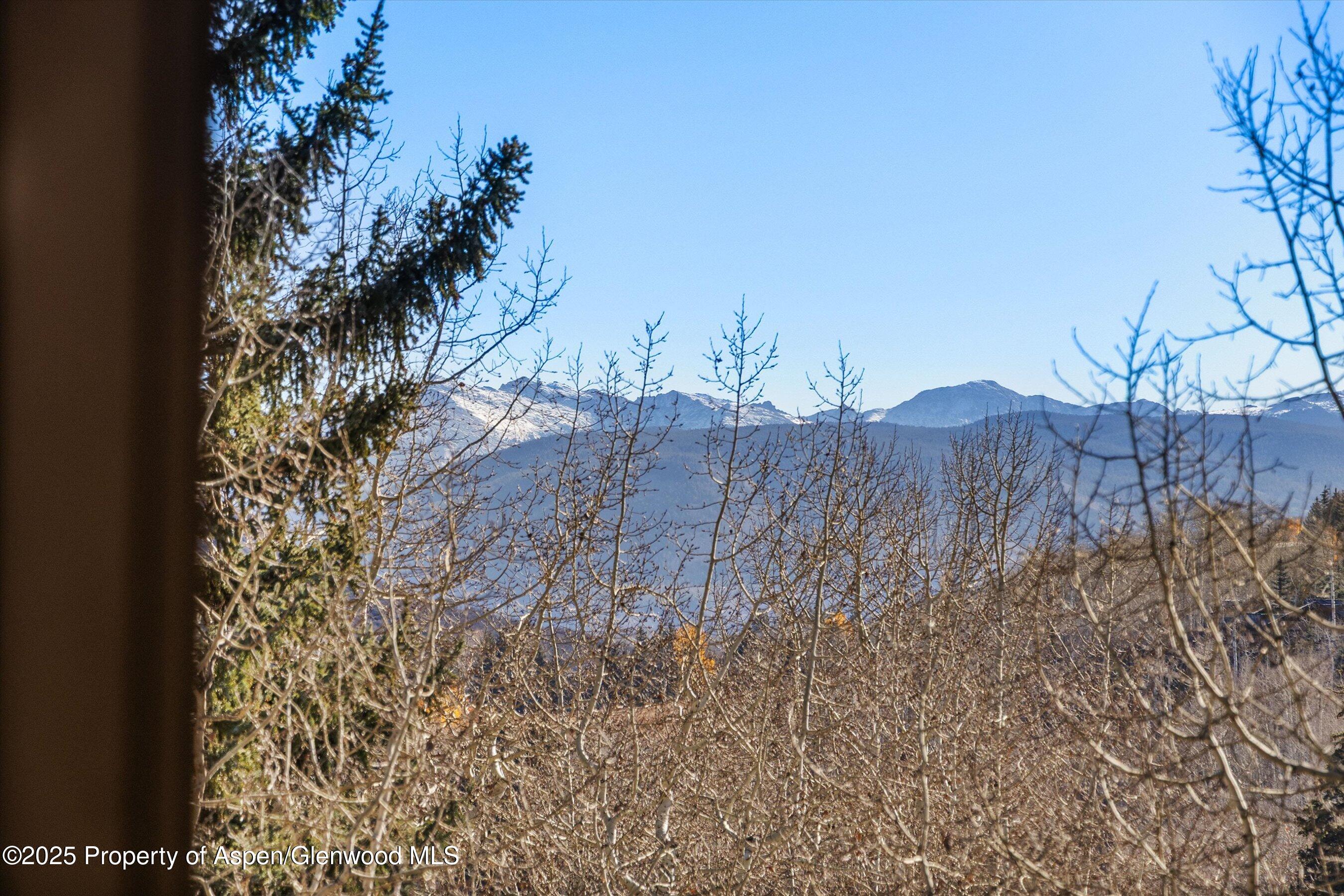 35 Lower Woodbridge Road, Unit V/177 Snowmass Village, CO 81615 - Photo 8 of 15 a view of a dry yard with trees