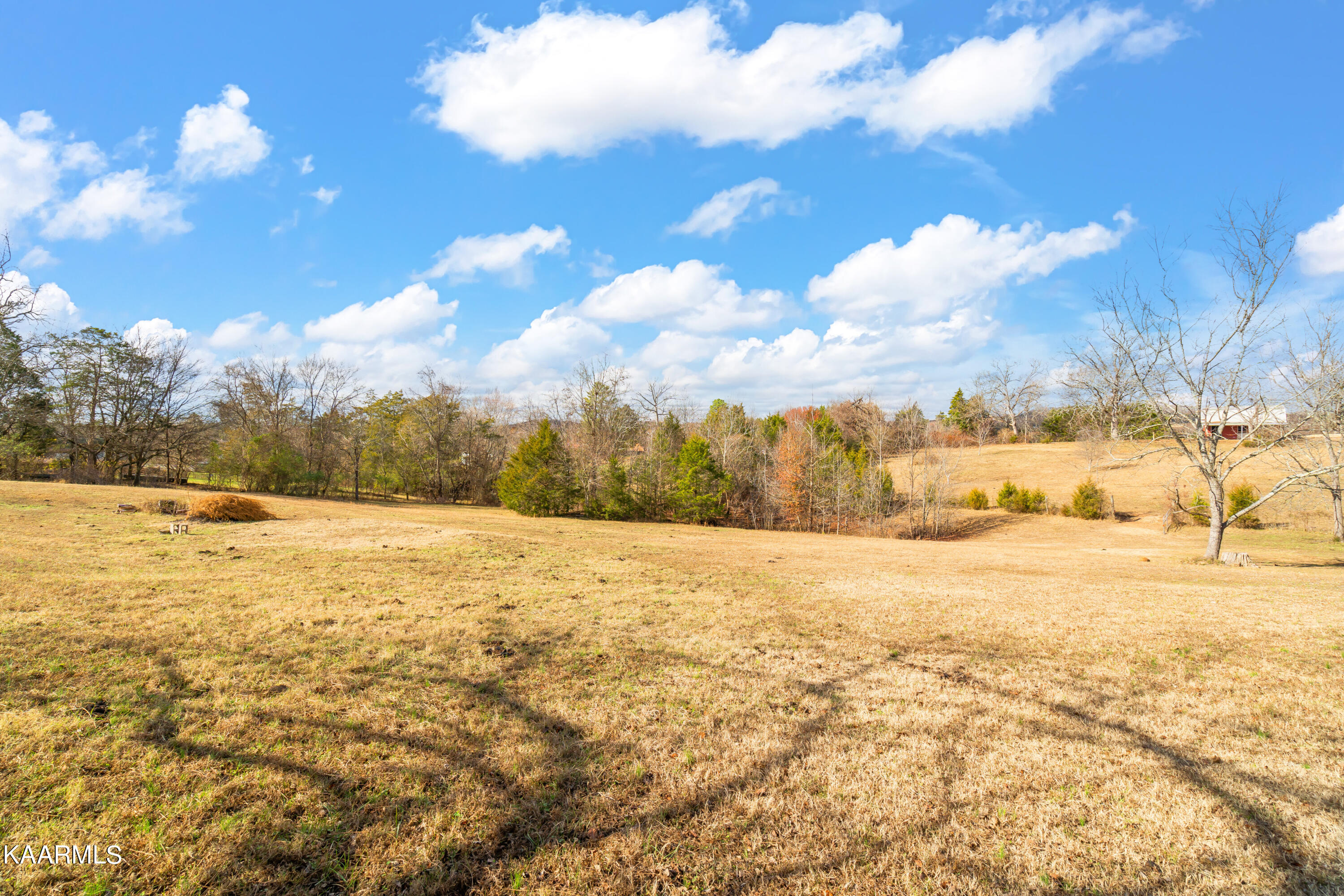 7519 Majors Road Corryton, TN 37721 - Photo 35 of 57 7519 Majors Rd-29