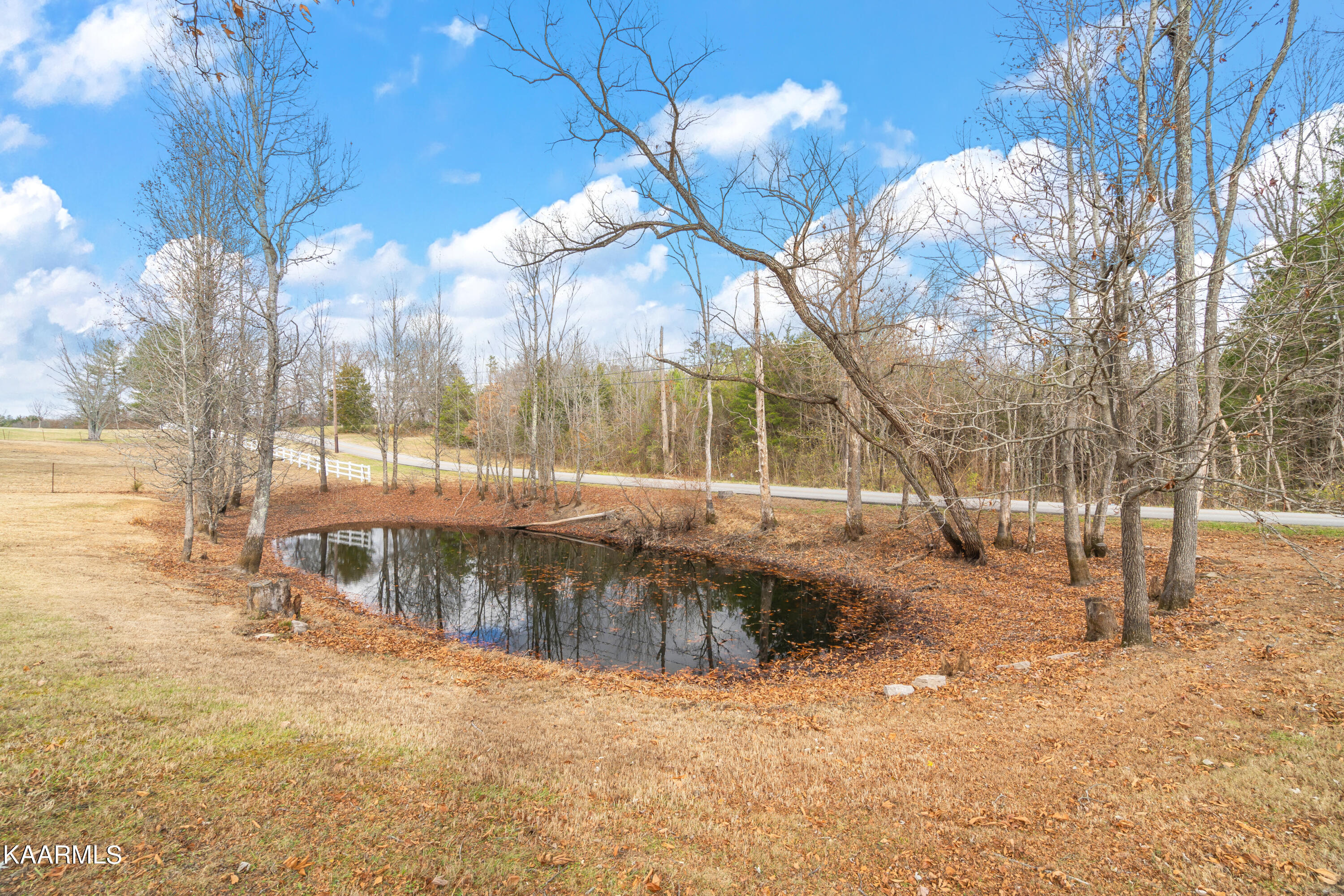 7519 Majors Road Corryton, TN 37721 - Photo 41 of 57 7519 Majors Rd-39