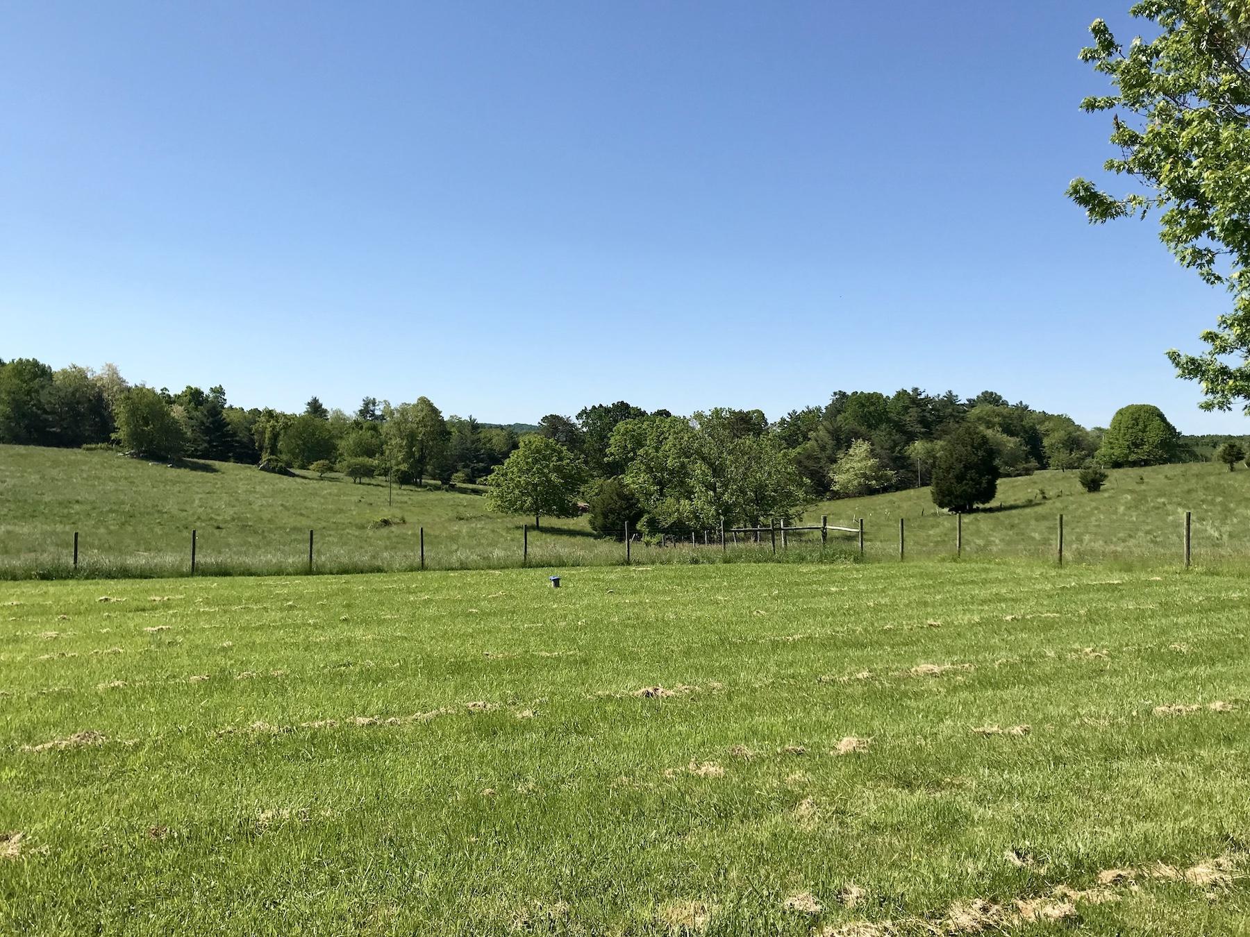2503 Huffville Road Pilot, VA 24138 - Photo 26 of 26 a view of field with tall trees
