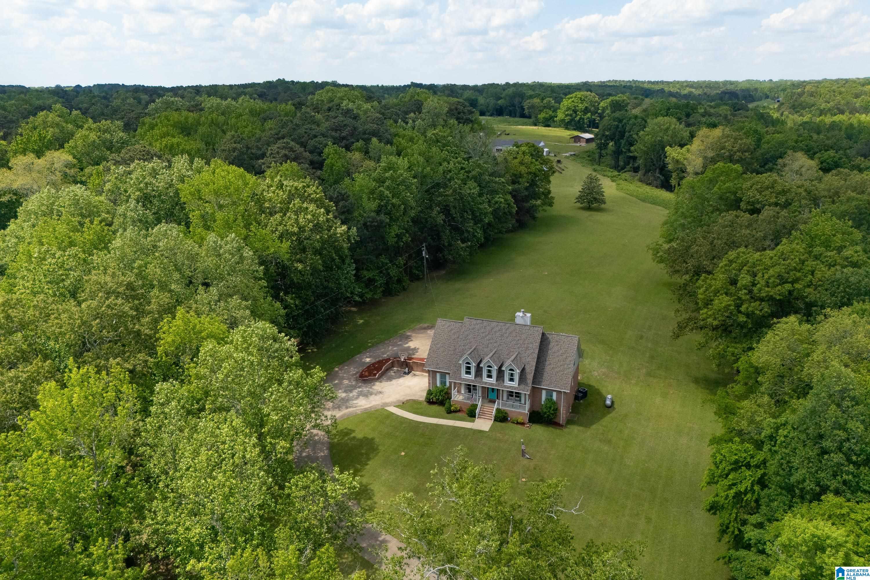 3671 White Road Dora, AL 35062 - Photo 3 of 67