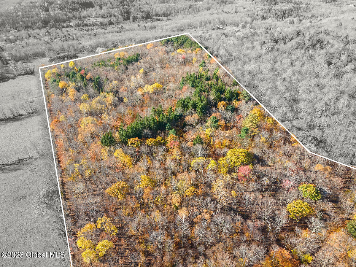 391 Peraglie Road Jefferson, NY 12093 - Photo 26 of 29 391 Peraglie-2