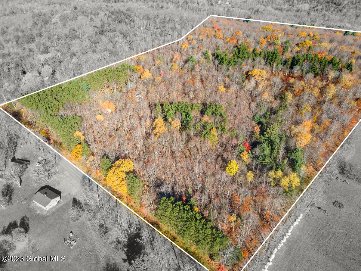 391 Peraglie Road Jefferson, NY 12093 - Photo 5 of 29 391 Peraglie-1