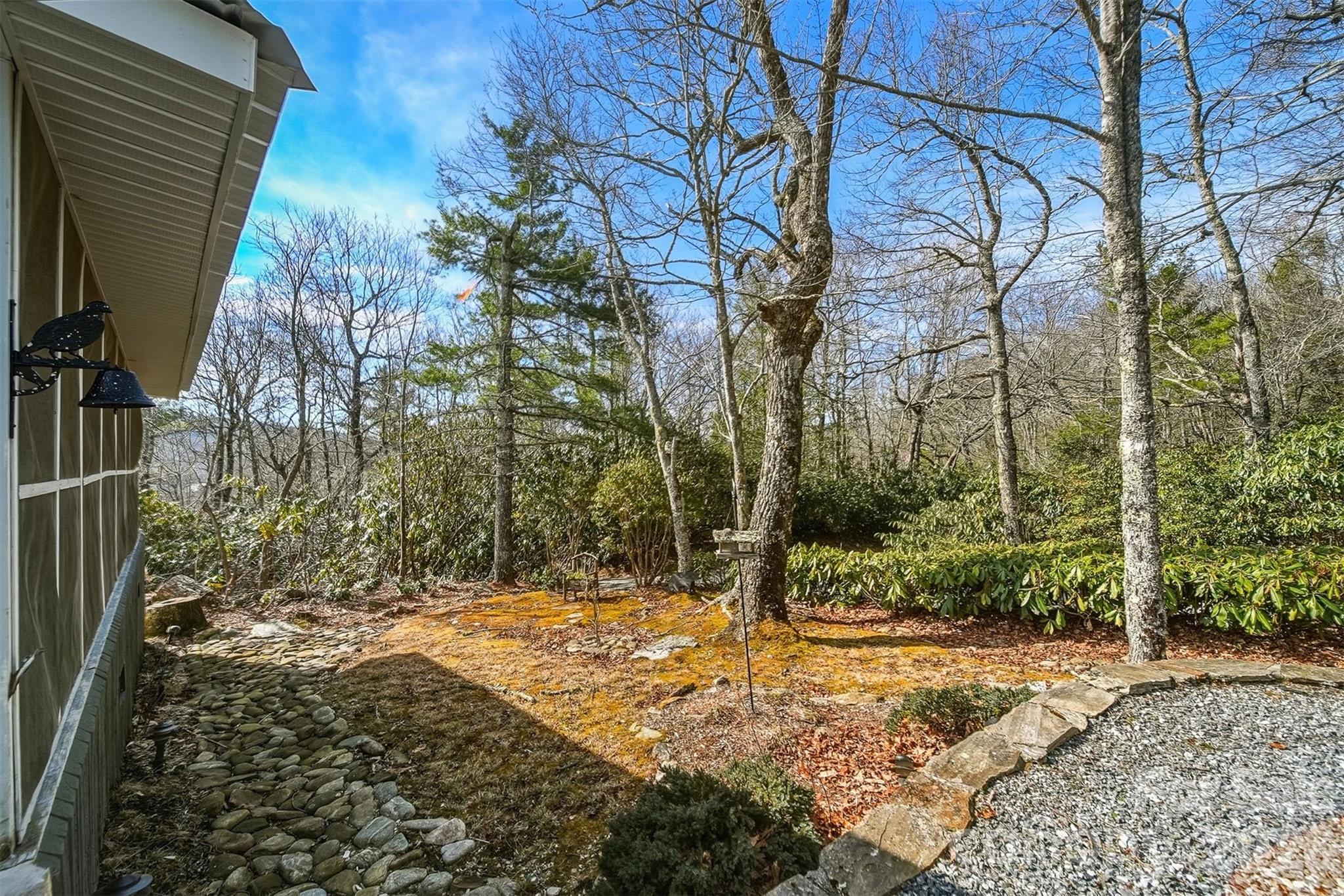 7218 Martin Road Newland, NC 28657 - Photo 23 of 27 a view of a yard with plants and trees