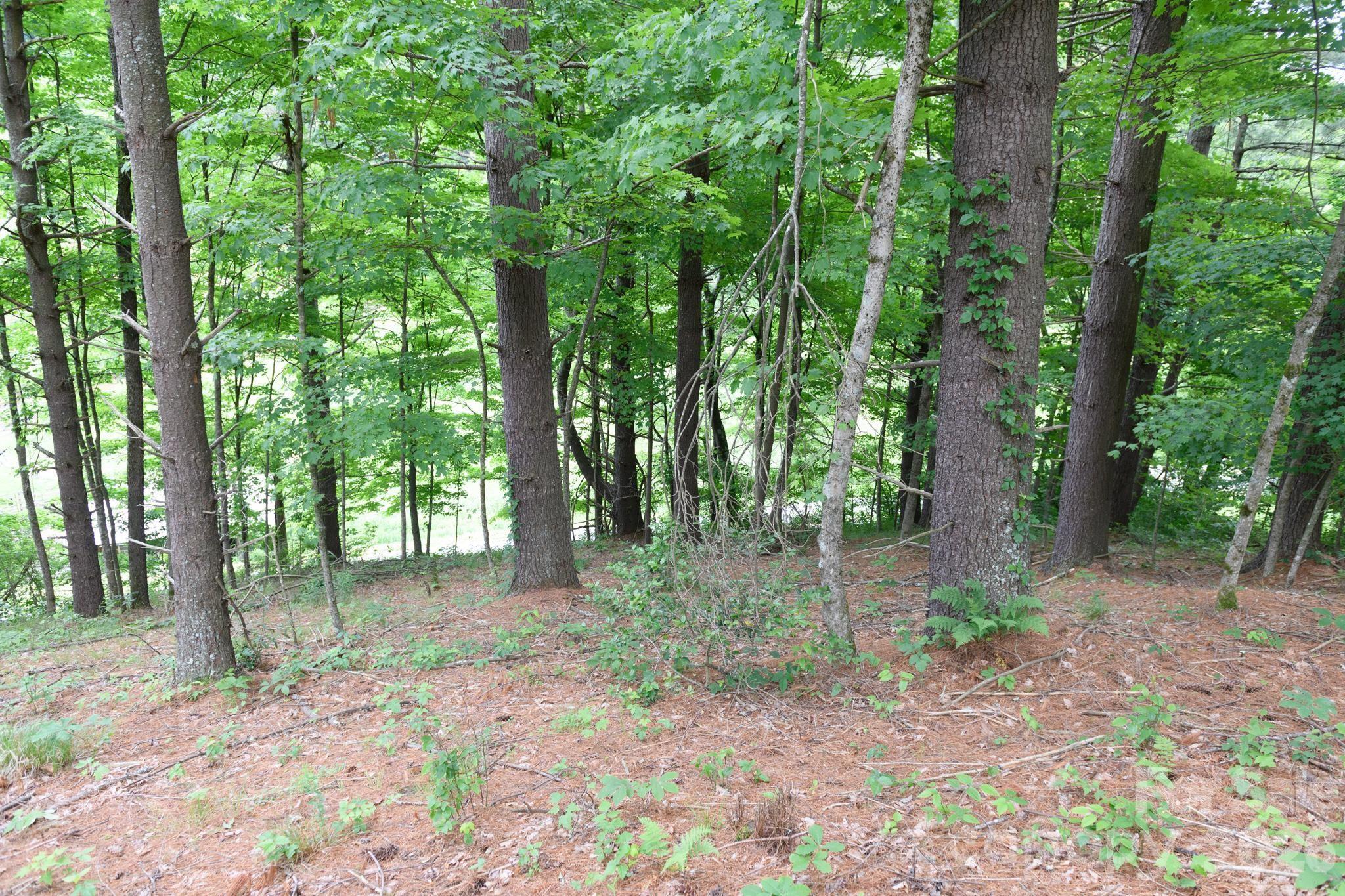 Tbd Tbd Sycamore Road Vilas, NC 28692 - Photo 21 of 38