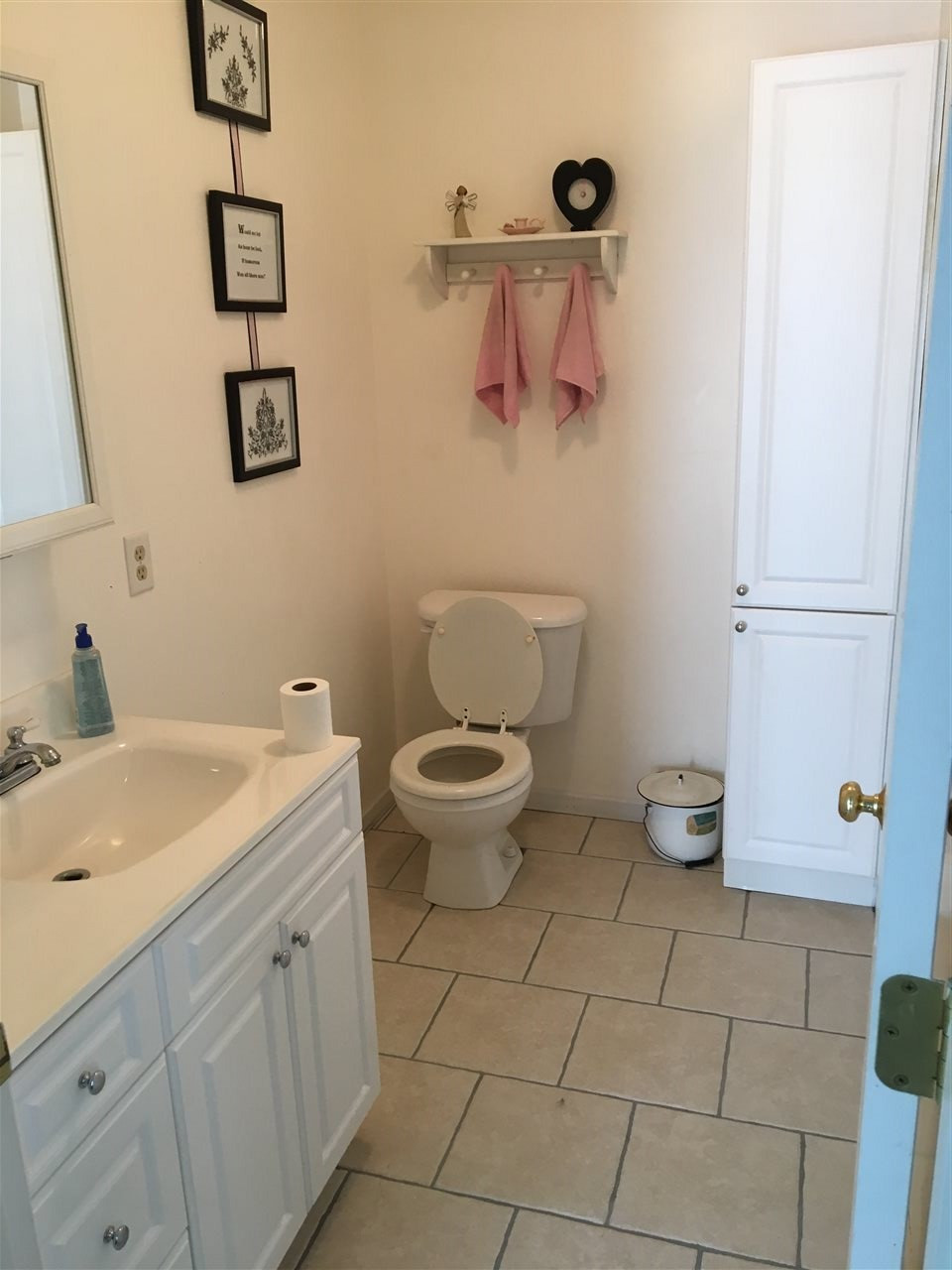 7854 Dixon Road Rives Junction, MI 49277 - Photo 9 of 21 Photo 9