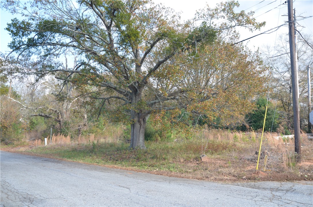 308 Oak Drive Iva, SC 29655 - Photo 2 of 5