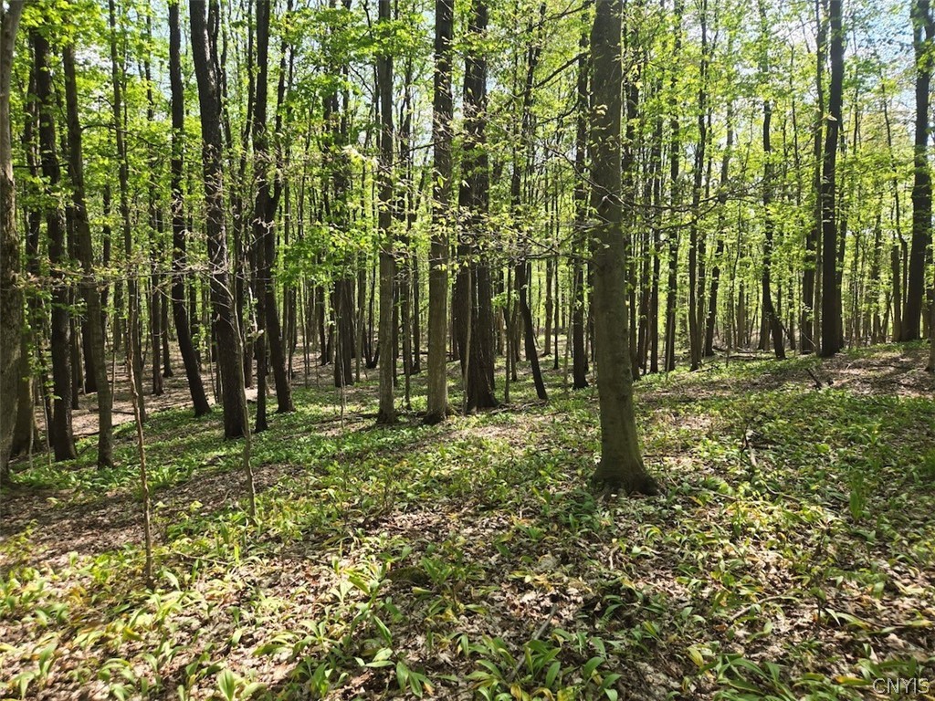Pochuck Road Bliss, NY 14024 - Photo 5 of 23