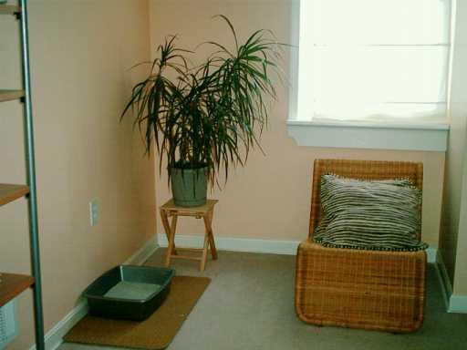 3434 Spring Garden Road Pittsburgh, PA 15214 - Photo 5 of 8 Other.