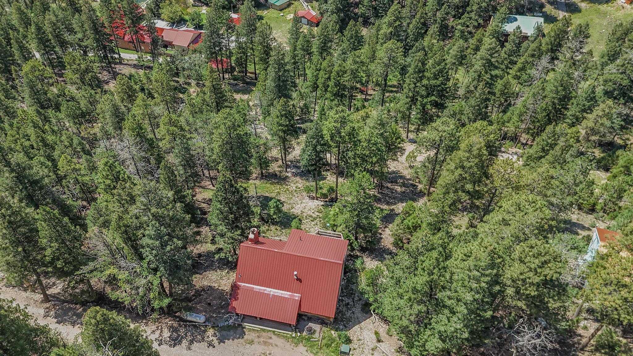 18 Forest View Road Cloudcroft, NM 88317 - Photo 67 of 70 Gallery Image 67