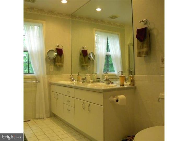 11 Granite Way Ottsville, PA 18942 - Photo 7 of 24 Master Bathroom