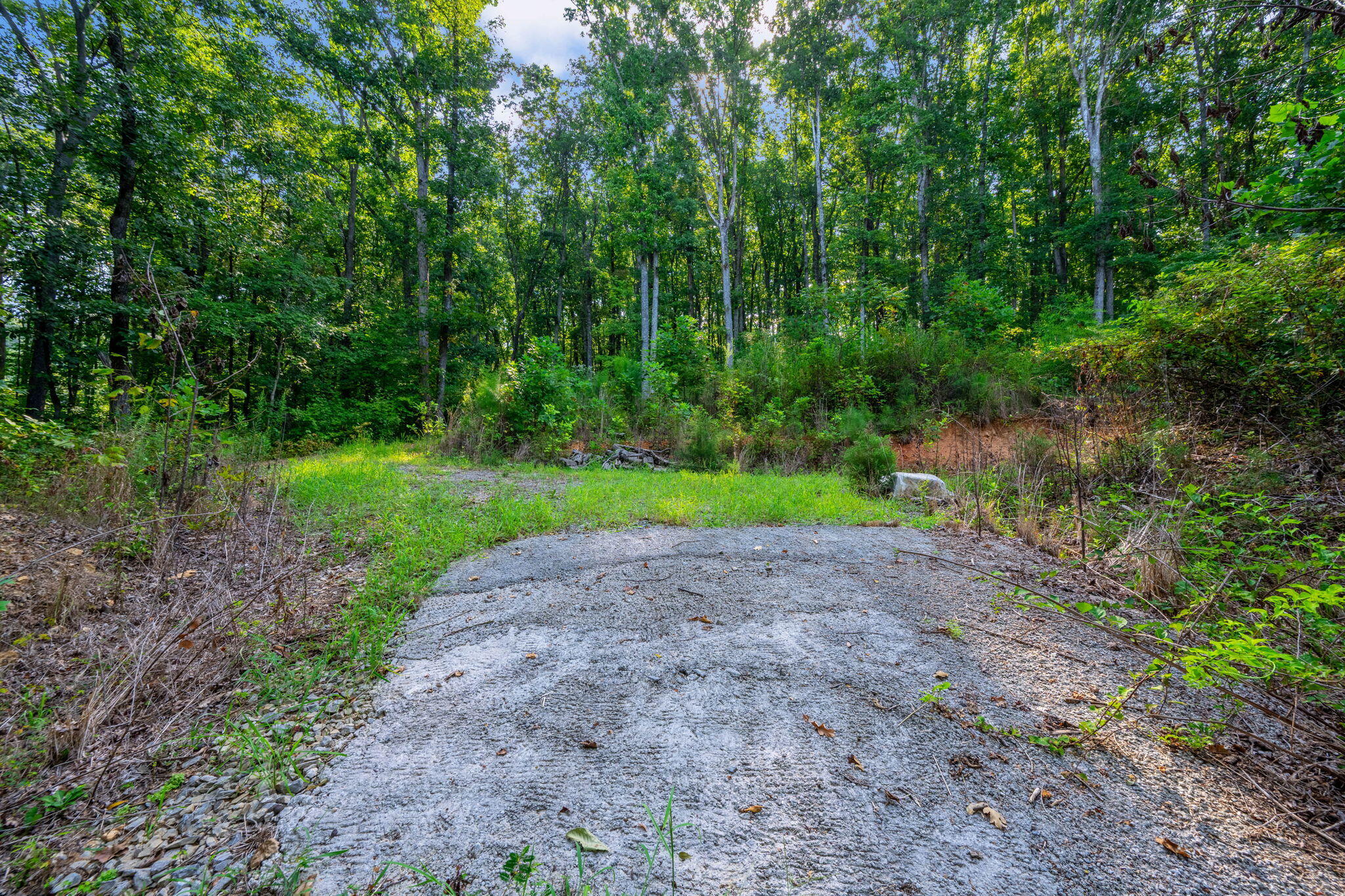 805 Lead Mine Valley Road Southwest Cleveland, TN 37311 - Photo 33 of 36 42-web-or-mls-DSC_3899