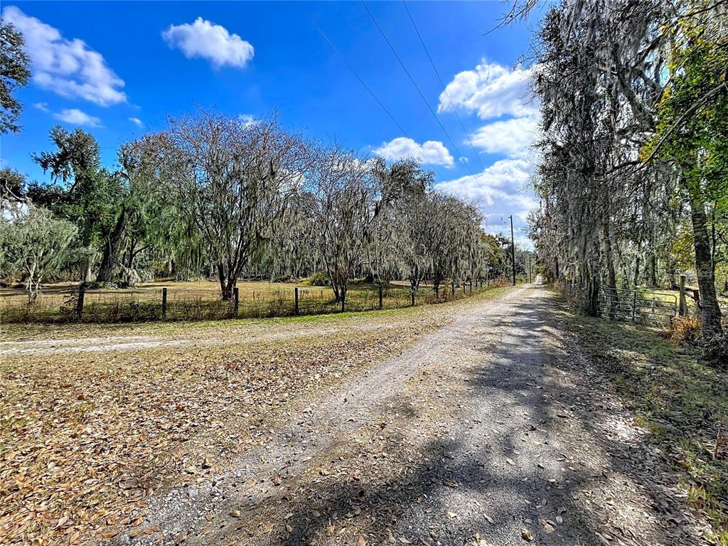 15210 Rough Diamond Ranch Road Lithia, FL 33547 - Photo 19 of 76 a view of a yard with trees