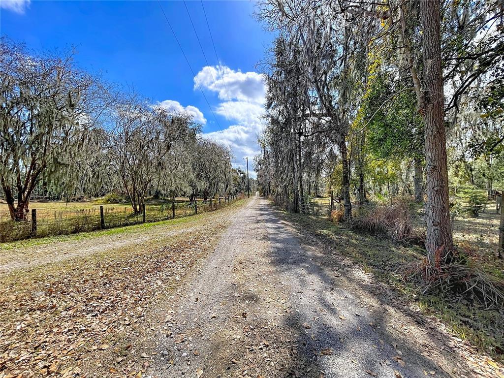 15210 Rough Diamond Ranch Road Lithia, FL 33547 - Photo 20 of 76 a view of a yard with trees