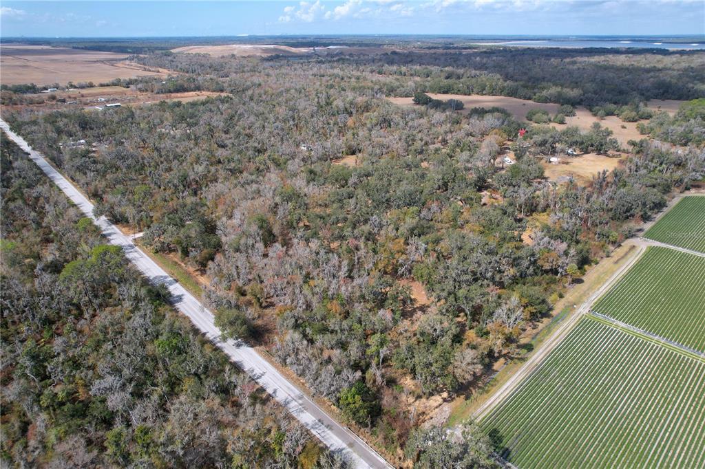 15210 Rough Diamond Ranch Road Lithia, FL 33547 - Photo 22 of 76